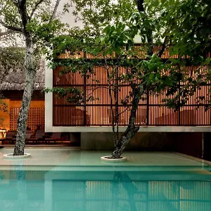 Villa Jungle Keva & Venue Tulum