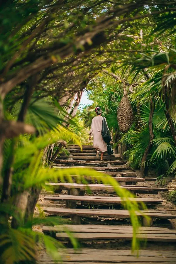 Ikal Tulum Hotel