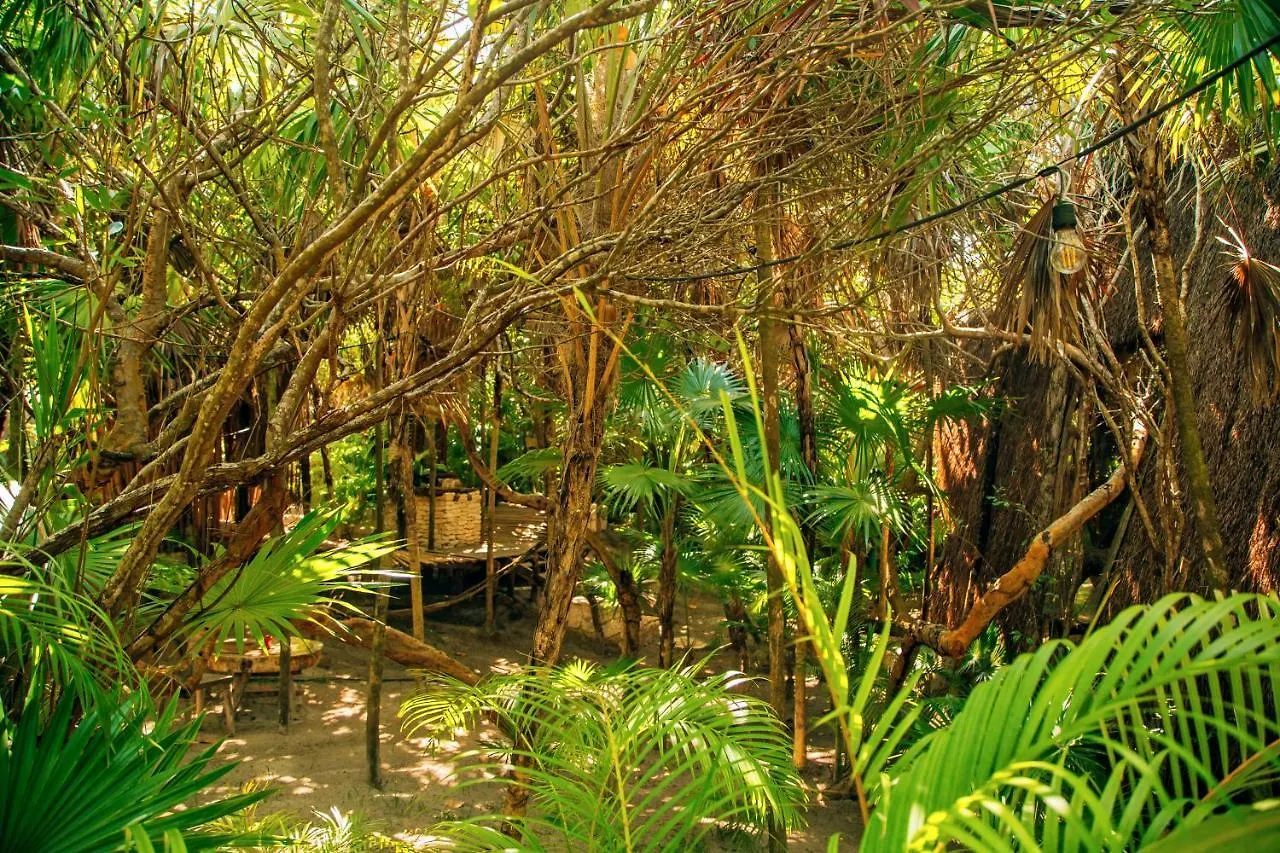 *****  Ikal Tulum Hotel Mexico
