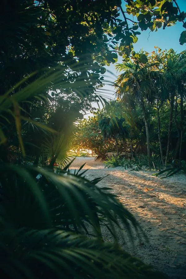 Ikal Tulum Hotel
